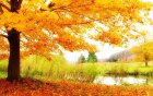 مزایای موسیقی درمانی