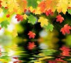 چگونه رفتار قاطعانه داشته باشیم